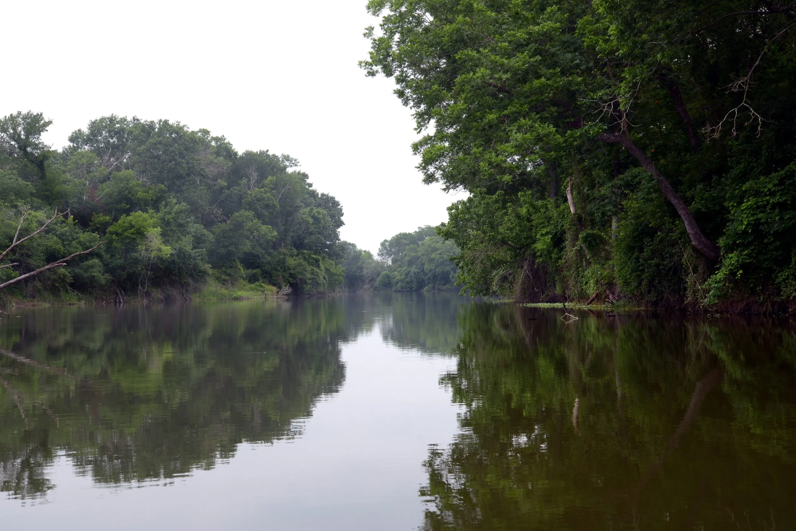 Plan to pump billions of gallons of water from East Texas appears on hold